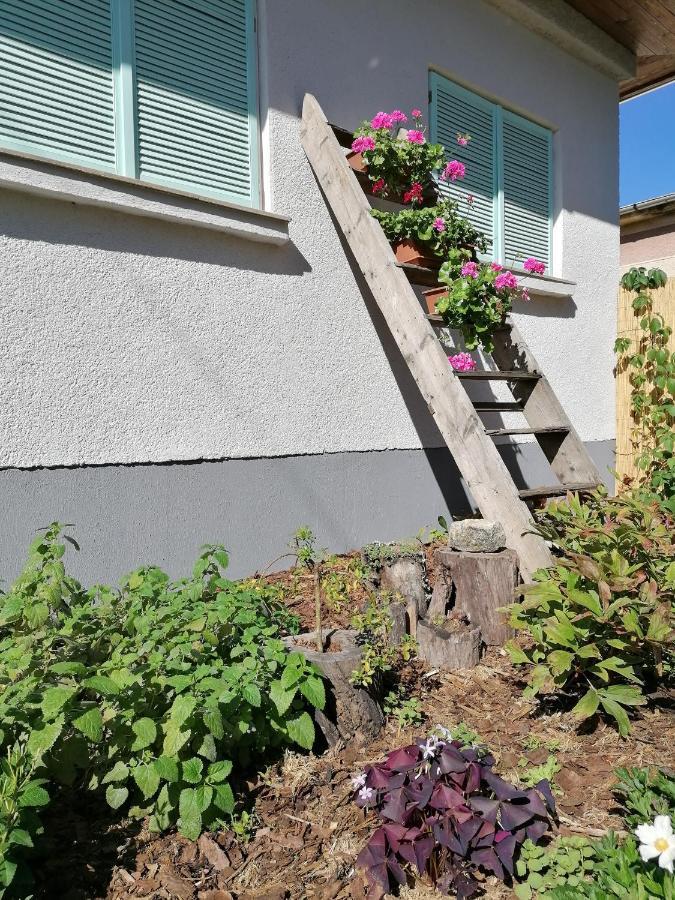 Menta Apartman Mezokovesd Bagian luar foto