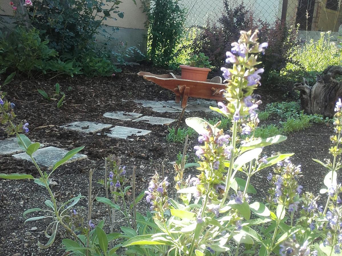Menta Apartman Mezokovesd Bagian luar foto